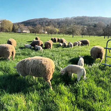 Campagne Et 招待所 Saâne-Saint-Just